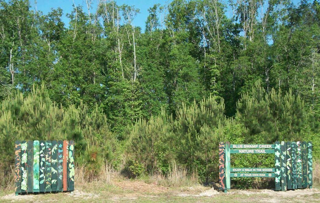 Welcome to the Blue Swamp Creek Nature Trail