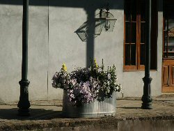 Downtown Streetside Planters